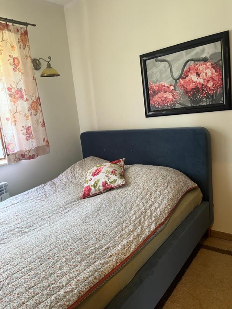 Siedlisko Kepina Zdroj Apartment Ostrow  Ngoại thất bức ảnh