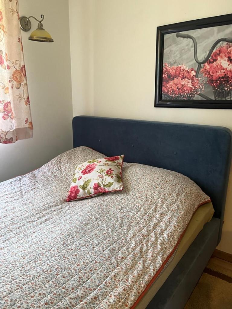 Siedlisko Kepina Zdroj Apartment Ostrow  Ngoại thất bức ảnh
